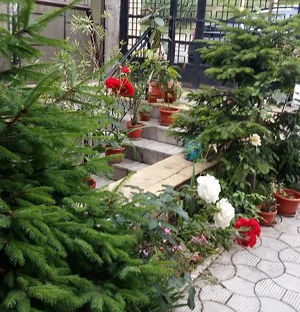Casa Hoinaru コンスタンツァ