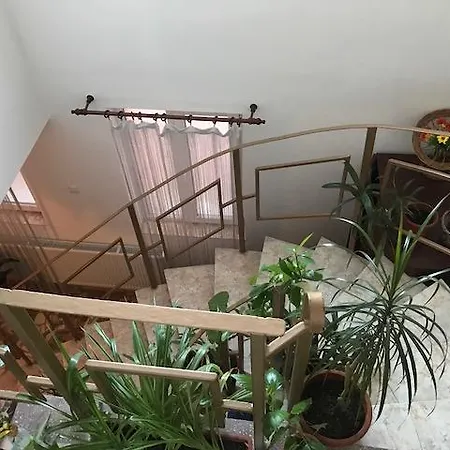 Casa Hoinaru ホームステイ *