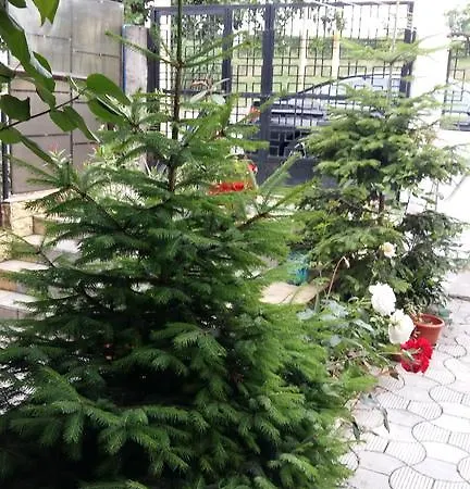 Δωμάτια σε οικογενειακή κατοικία Casa Hoinaru Κονστάντζα