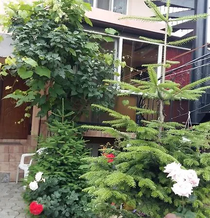 Casa Hoinaru Δωμάτια σε οικογενειακή κατοικία