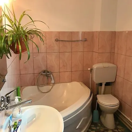 Δωμάτια σε οικογενειακή κατοικία Casa Hoinaru *